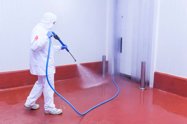 Best Soft Washing for Delicate Surfaces in North East, MD
